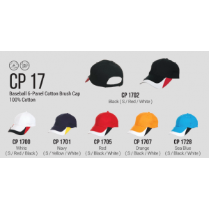 [Baseball Cap] Baseball Cap - CP17